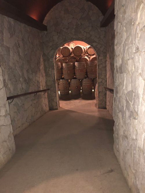 Free stock photo of wine barrels Stock Photo