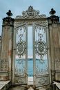 Blue and White Floral Door