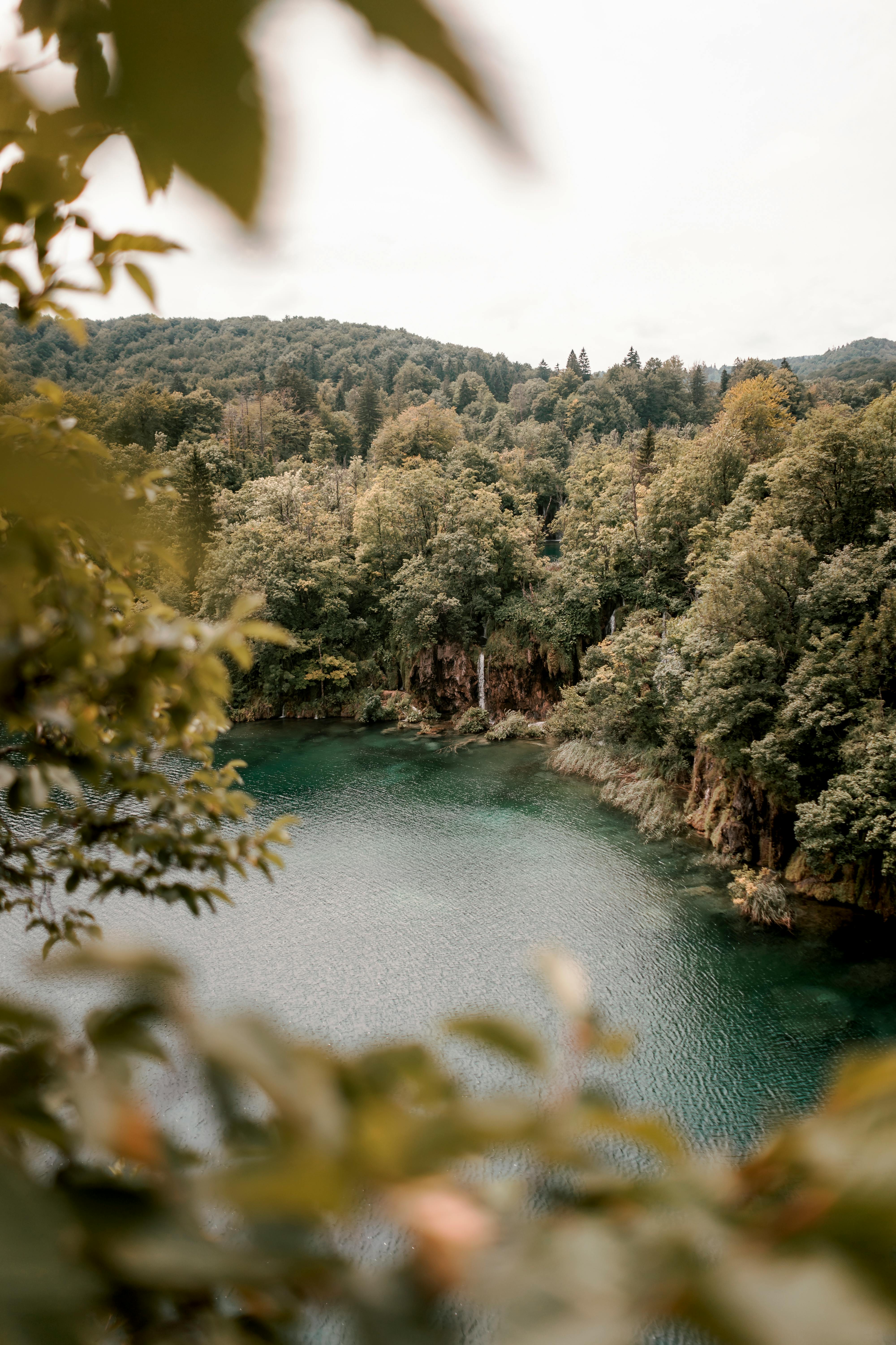 Breathtaking aerial view of a forested lake in Croatia with lush greenery and tranquil waters.