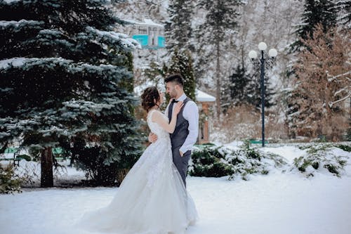 Free Newlyweds Posing in Snow Stock Photo