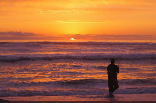 Silhouette of a Man Fishing on the Sea during Sunset
