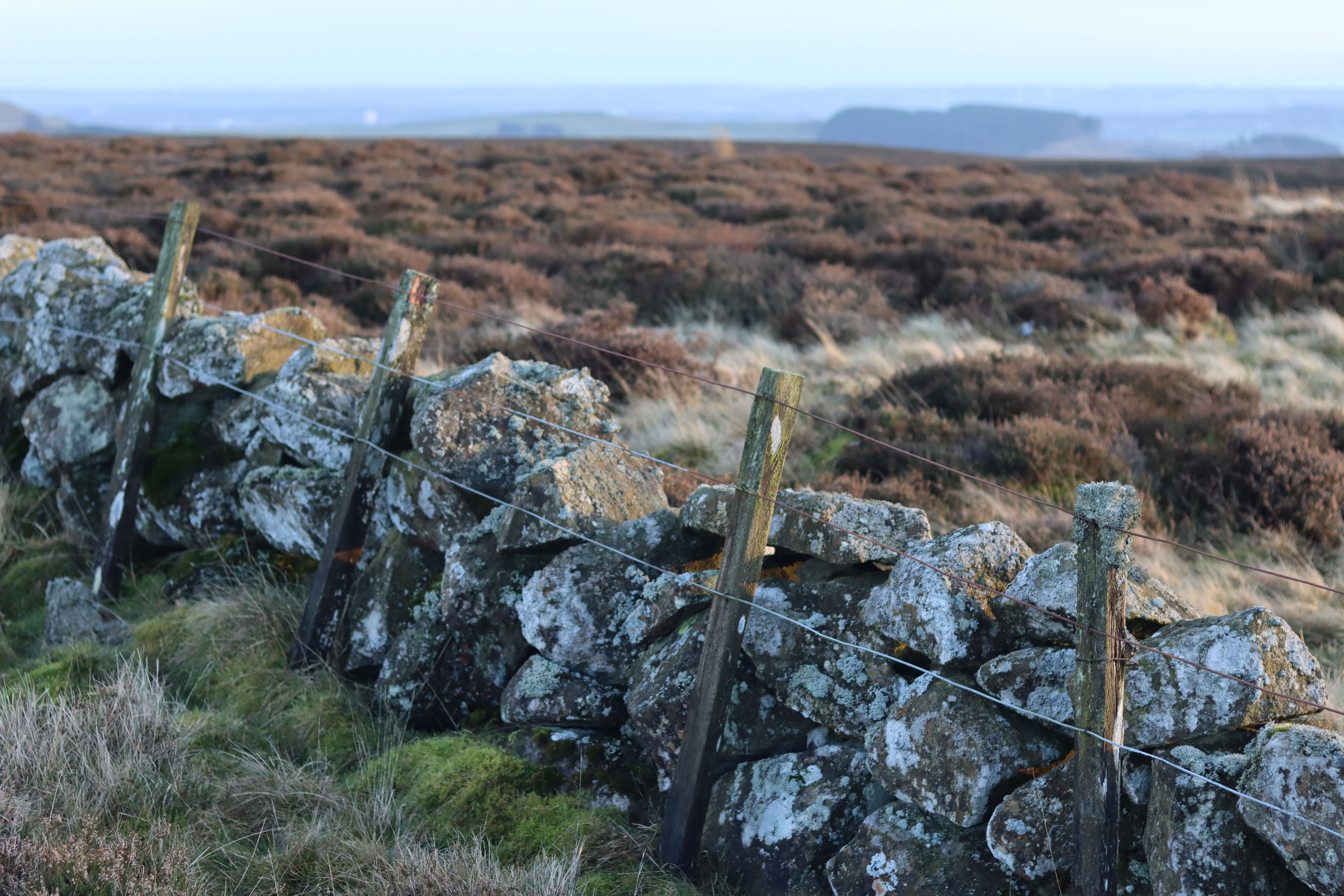 Scottish moorland, the grouse-shooting country where the royal country-sports season begins each Glorious Twelfth.