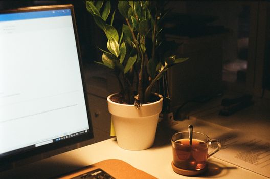 A warm, cozy workspace featuring a computer screen, potted plant, and a cup of tea.