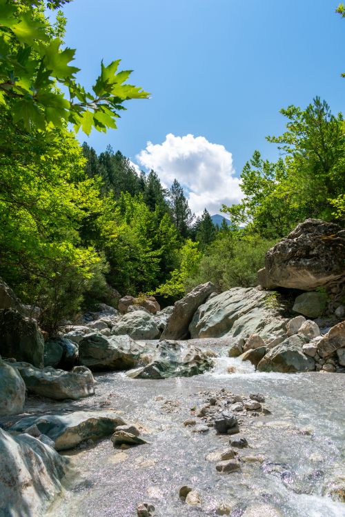 Free Clear mountain stream in a lush, rocky forest landscape in Greece under a blue sky. Stock Photo