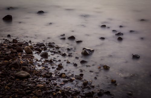 Free stock photo of afternoon, calm waters, dawn