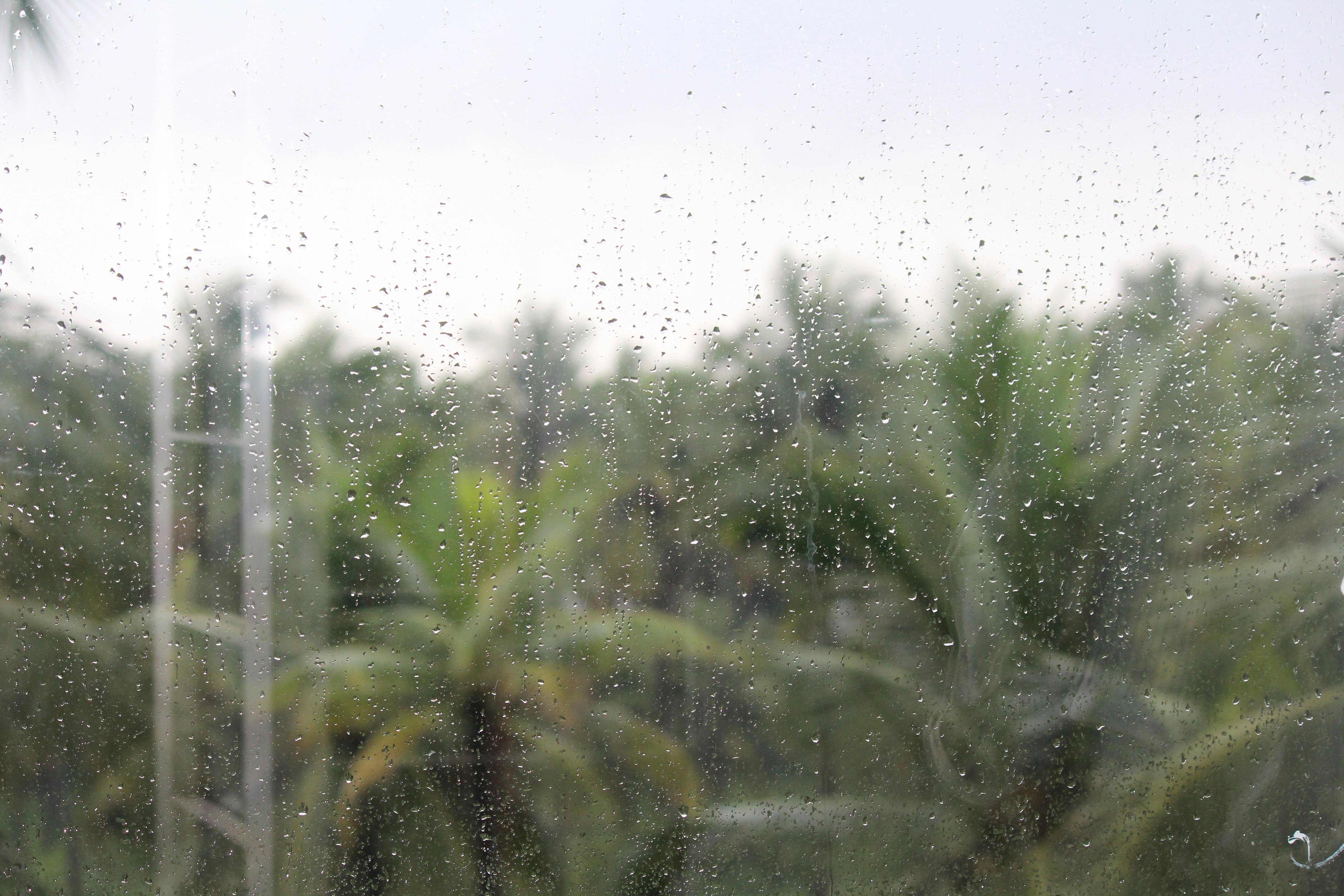 Bolu Gandum dengan Pisang