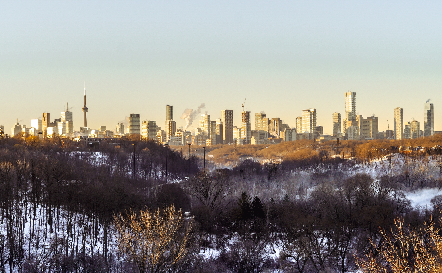 High Park