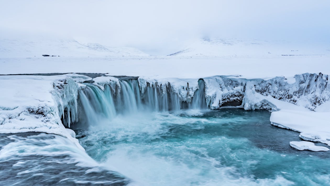 Gratis lagerfoto af forkølelse, frossen, frost