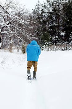 A person in a blue jacket hikes through a snow-covered forest on a winter day.