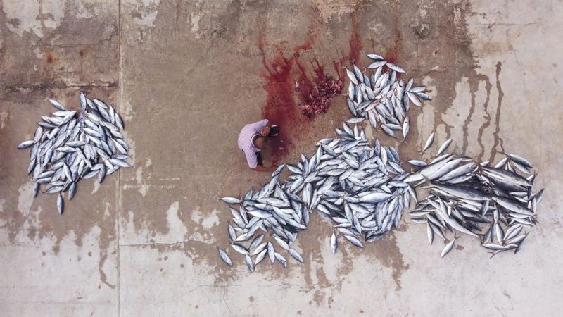 Malé Fish Market
