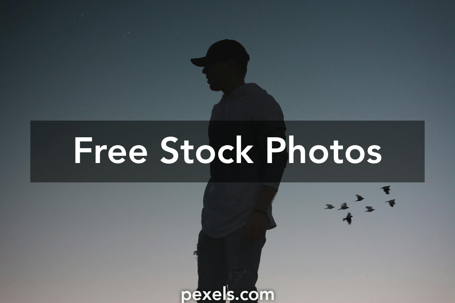 Backlit Photos, Download The BEST Free Backlit Stock Photos & HD Images