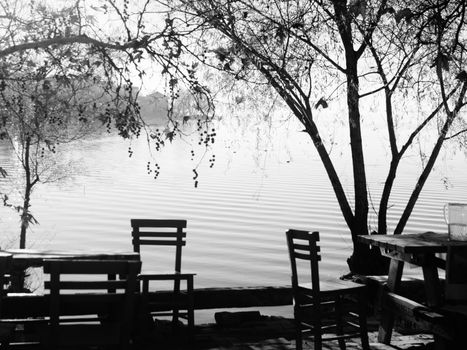 Grayscale Photo of Tables and Chairs Under the Tree Near Body of Water 