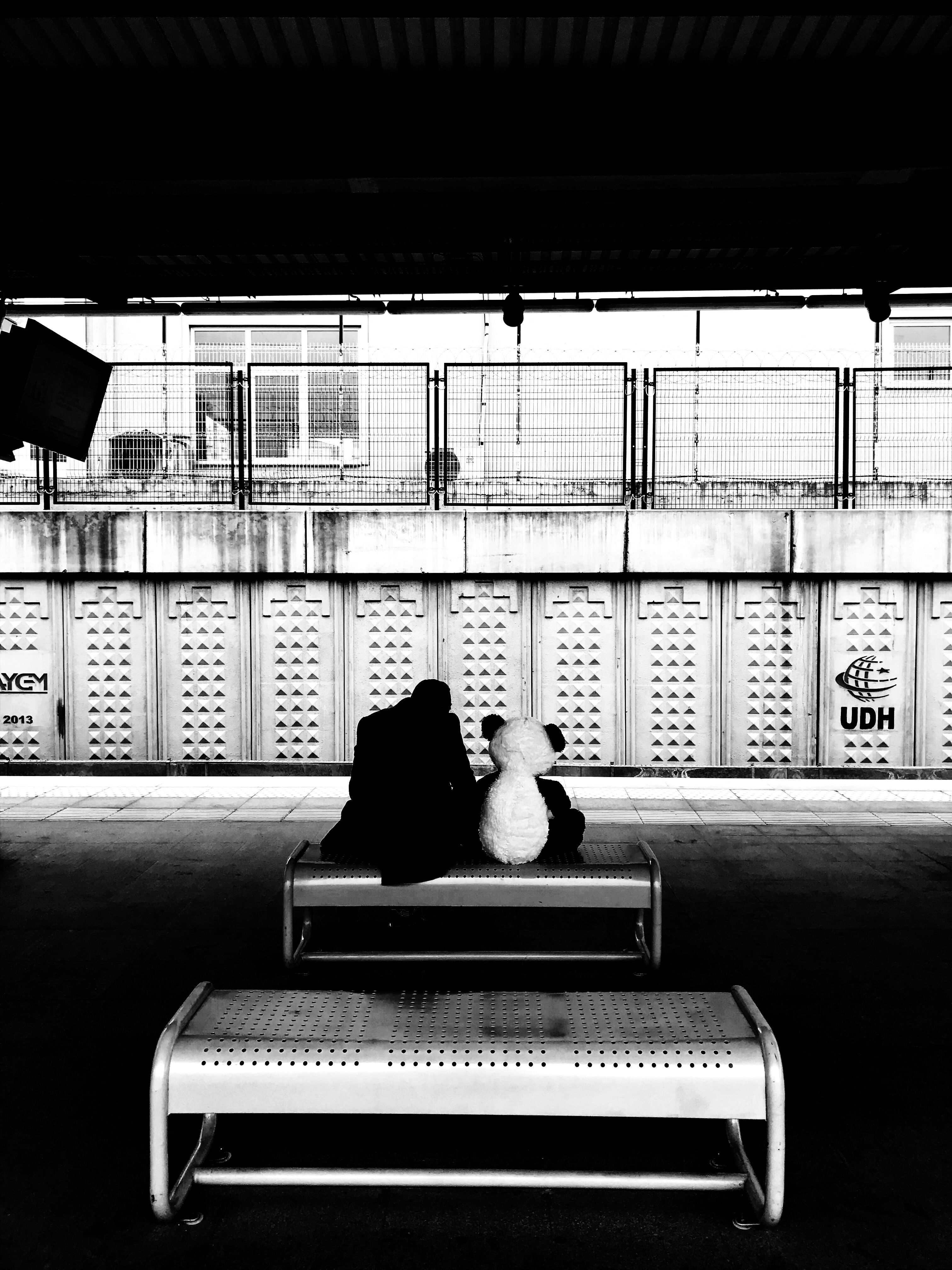 A Lonely Man Sitting on the Bench · Free Stock Photo