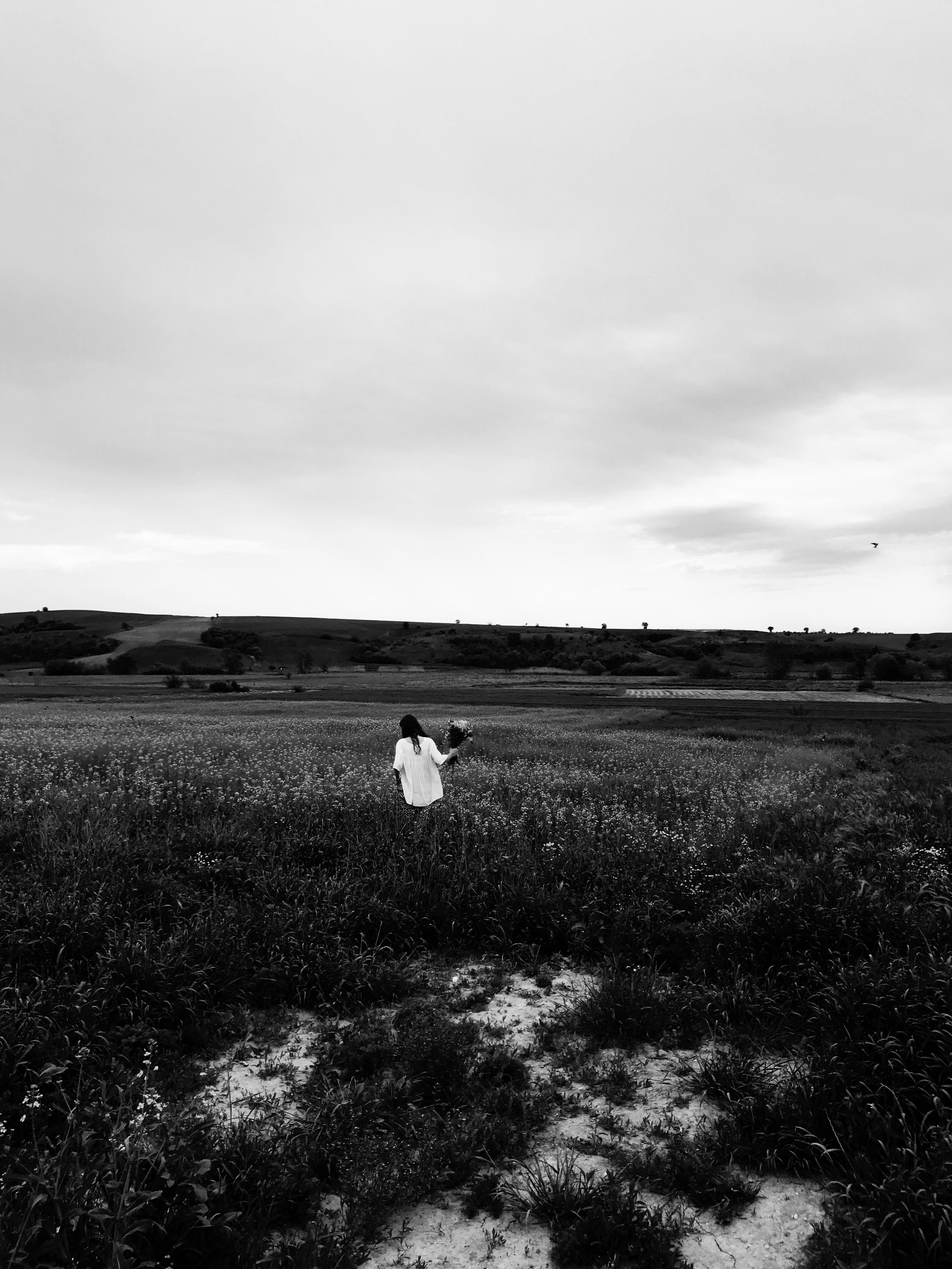 A Woman Holding a Bouquet of Flower in the Middle of a Flower Field ...