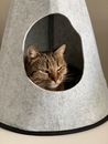 Brown Tabby Cat on White Textile