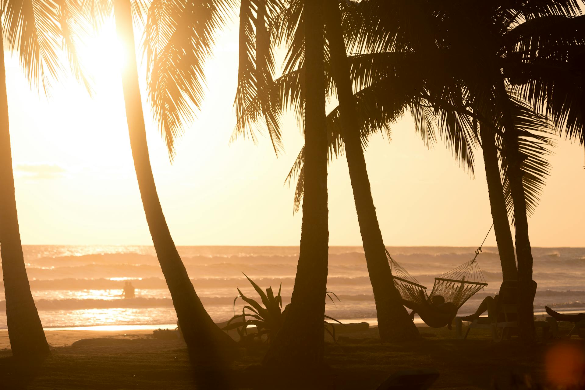 Silhouette of palms and a hammock on a serene Costa Rican beach at sunset.