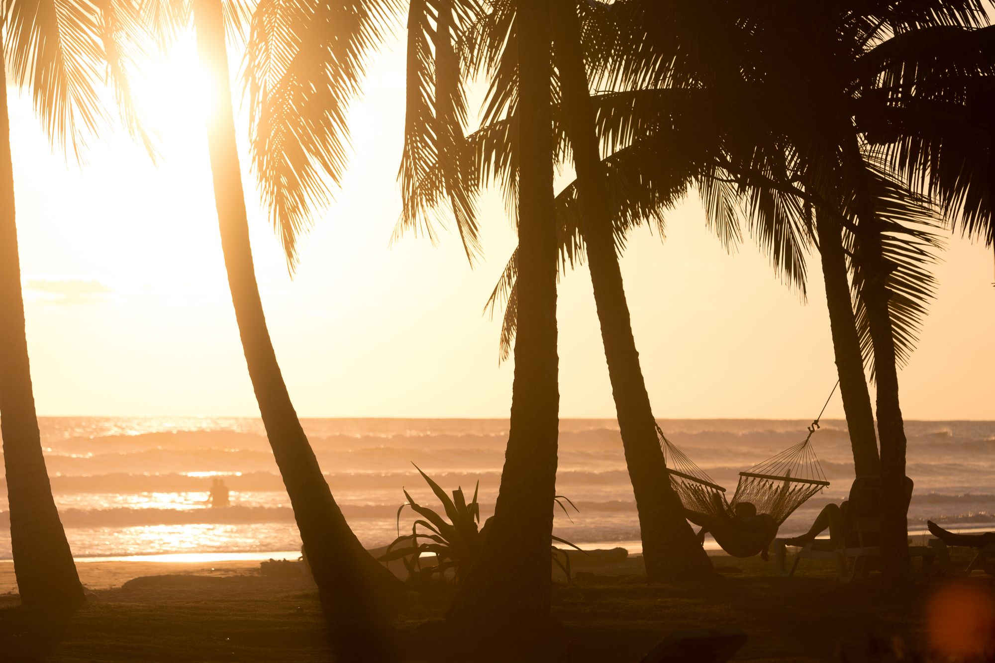 Tamarindo