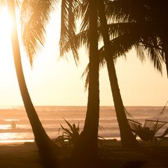 Toronto → Costa Rica - $273 đến $425 khứ hồi (bay thẳng, đã gồm thuế)