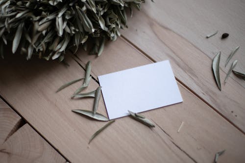 Piece of Paper Near Plant on Wooden Table 