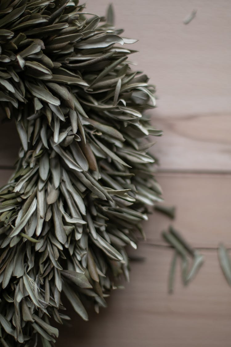 Leaves On Wreath