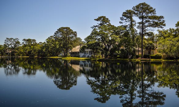 在晴朗的天空下，美丽的湖边家园周围的树木倒映在平静的水面上