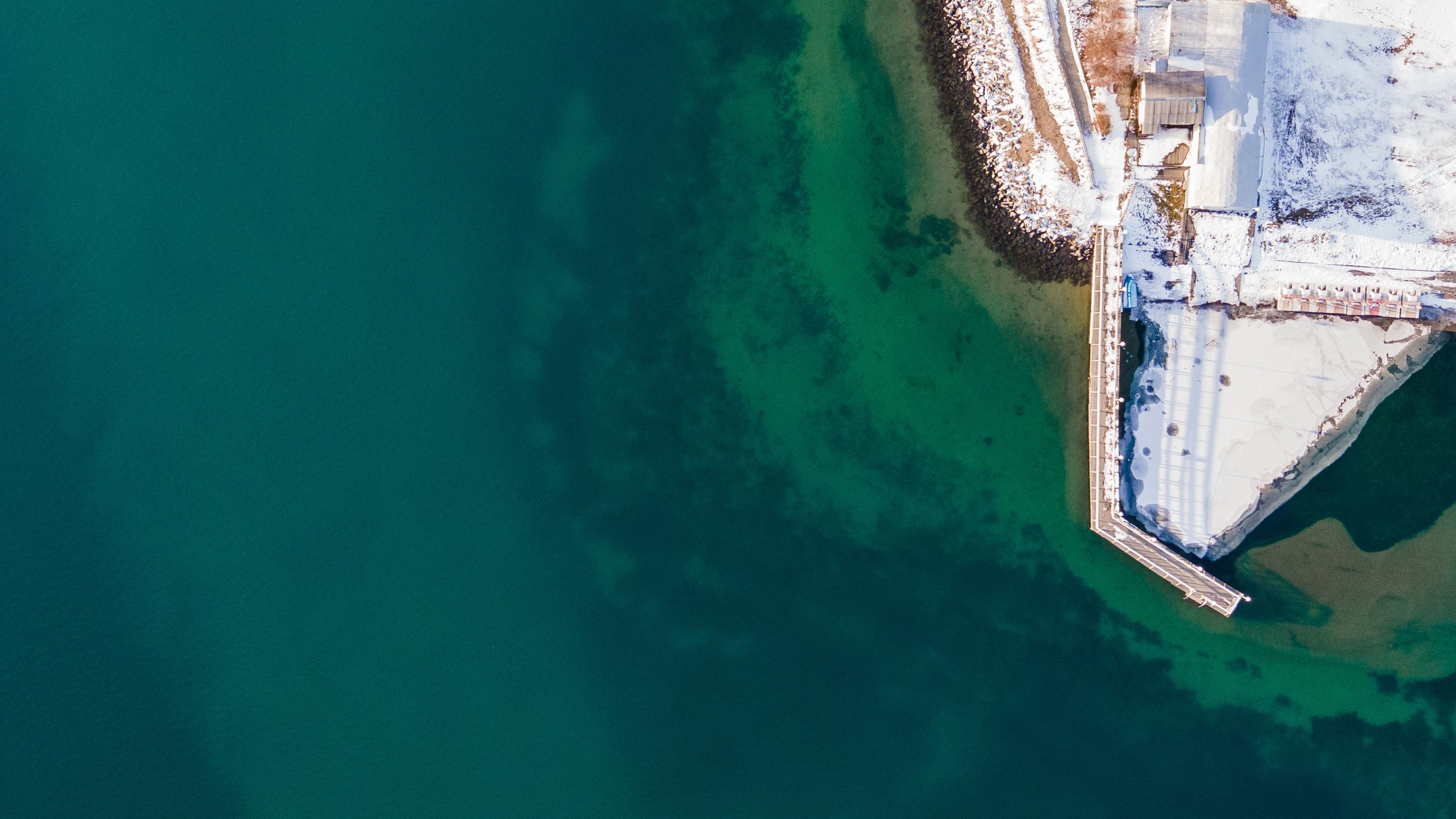 Study Finds Stickier Marine Snow Carries More Carbon to the Deep Sea