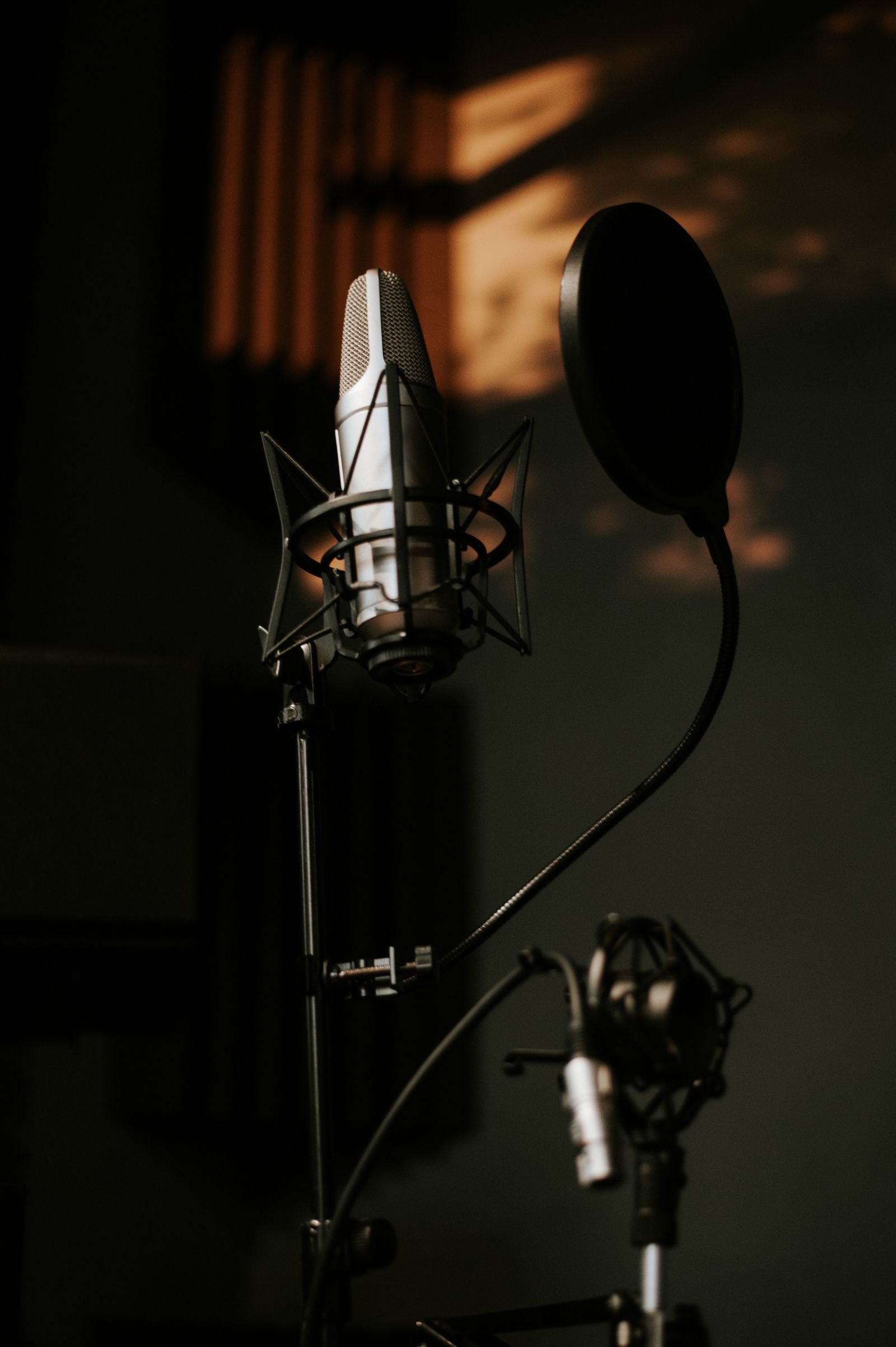 Studio microphone with pop filter in the Harbor studio