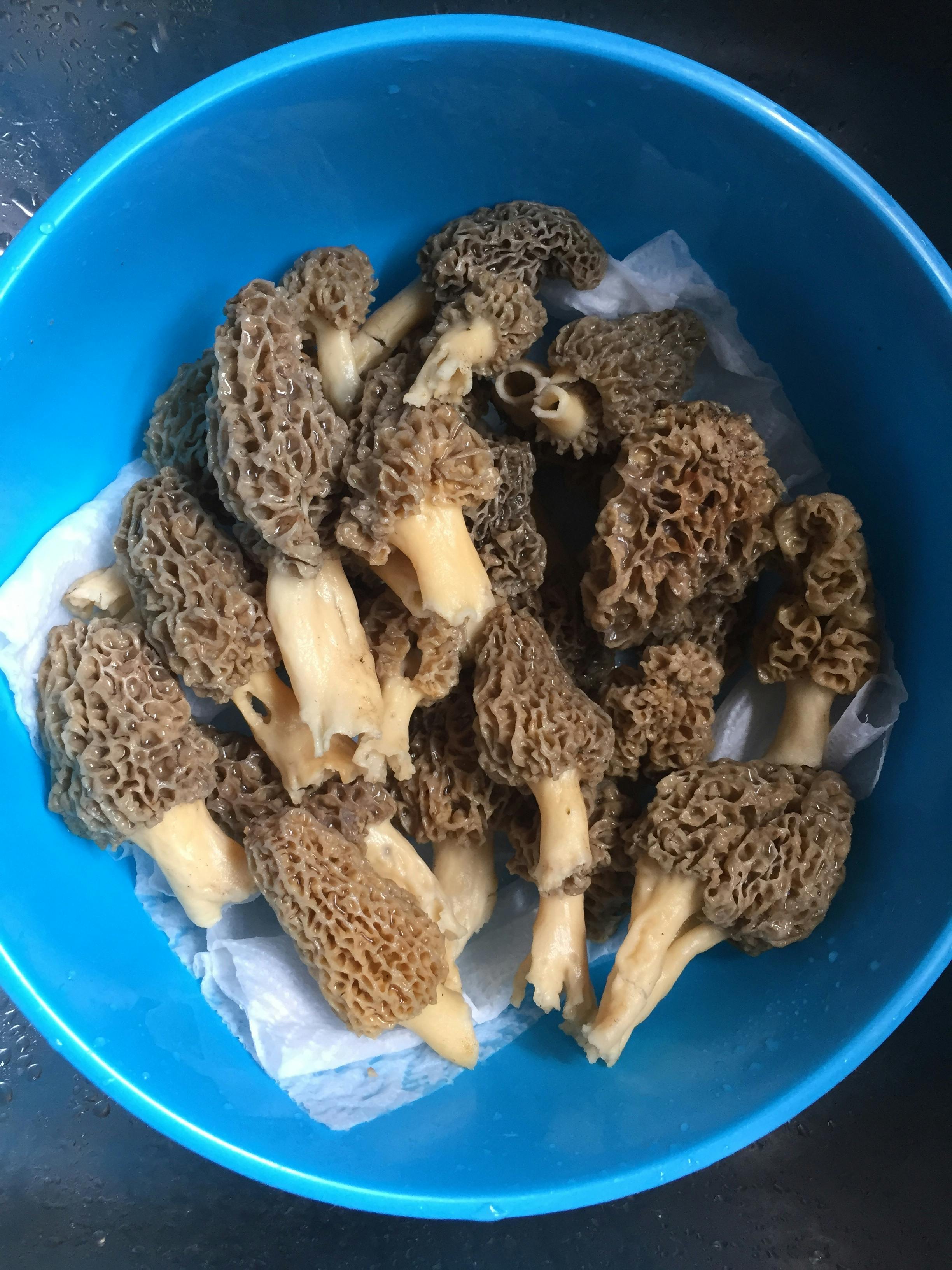 石家庄信托公司如何用肇新智能文档比对比较扫描件合同的关键条款差异