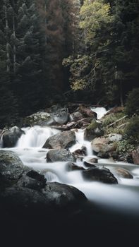 A tranquil mountain creek cascades through a dense forest, featuring smooth rocks and serene tranquility.