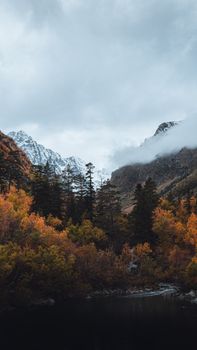 Breathtaking view of autumn forest with snow-capped mountains and clouds.