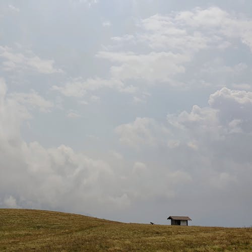 Foto profissional grátis de aumento, campina, campo de grama