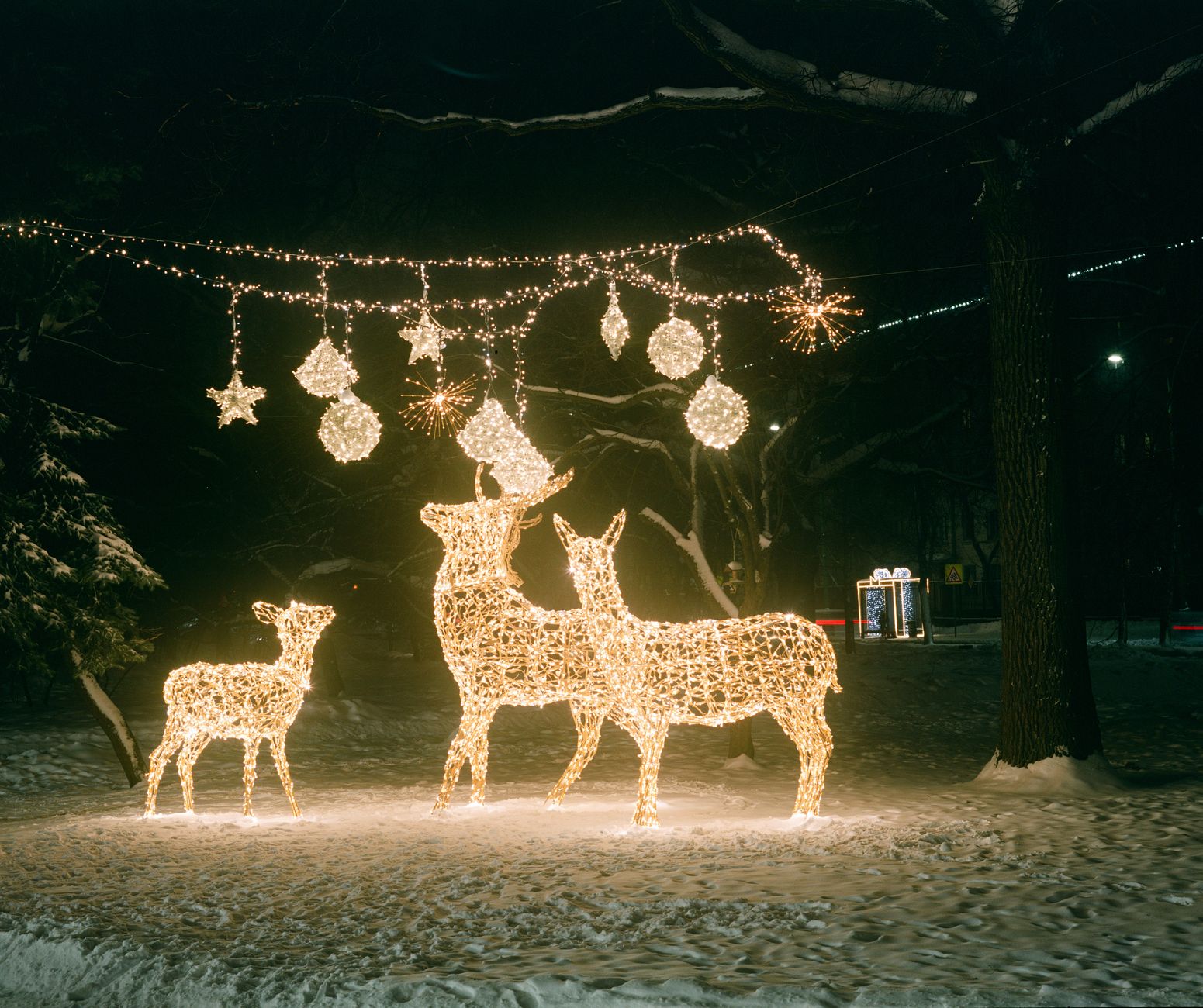 Commercial Christmas Lights Installation Services