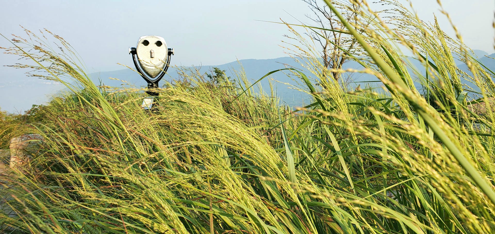 A coin operated telescope amidst tall grass in rural Highlands, NY, with distant hills.