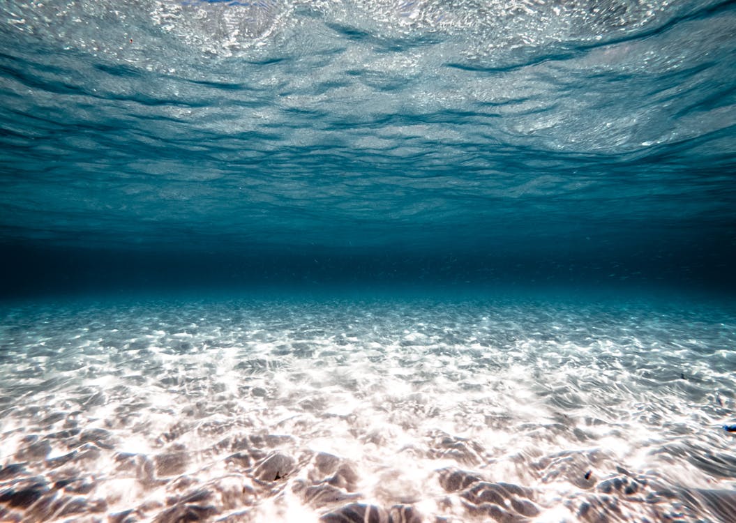 Underwater Photo of a Seabed · Free Stock Photo