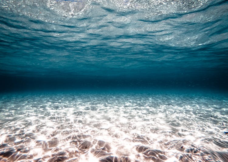 Underwater Photo Of A Seabed