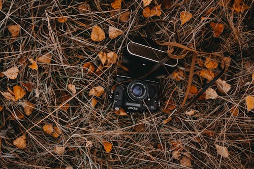 Black Camera and Bag on Brown Grass