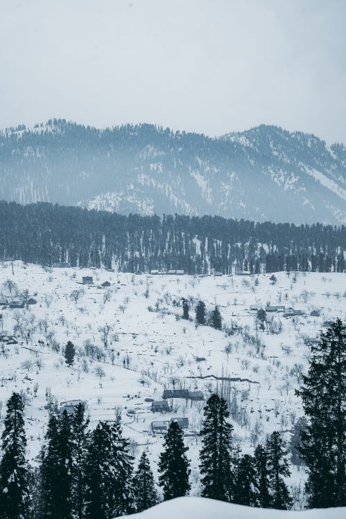 Free Serene winter scene of snowy mountains and pine trees in a picturesque landscape. Stock Photo