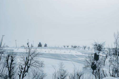 Imagine de stoc gratuită din anotimp, cerul alb, congelat
