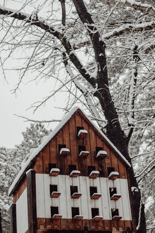Ilmainen kuvapankkikuva tunnisteilla lumi, puinen, pystysuuntainen laukaus Kuvapankkikuva