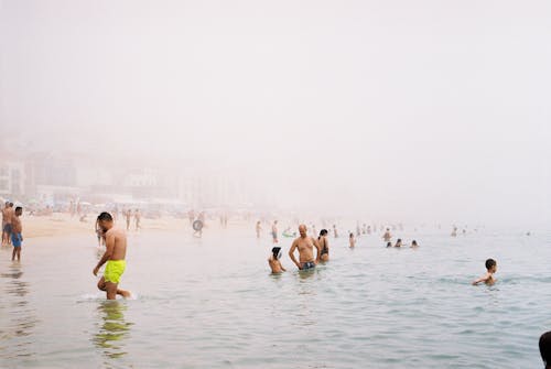 Free 

People Swimming on a Beach Stock Photo