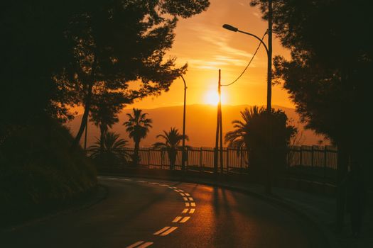 Enchanting sunset view in Barcelona with palm silhouettes and curved road.