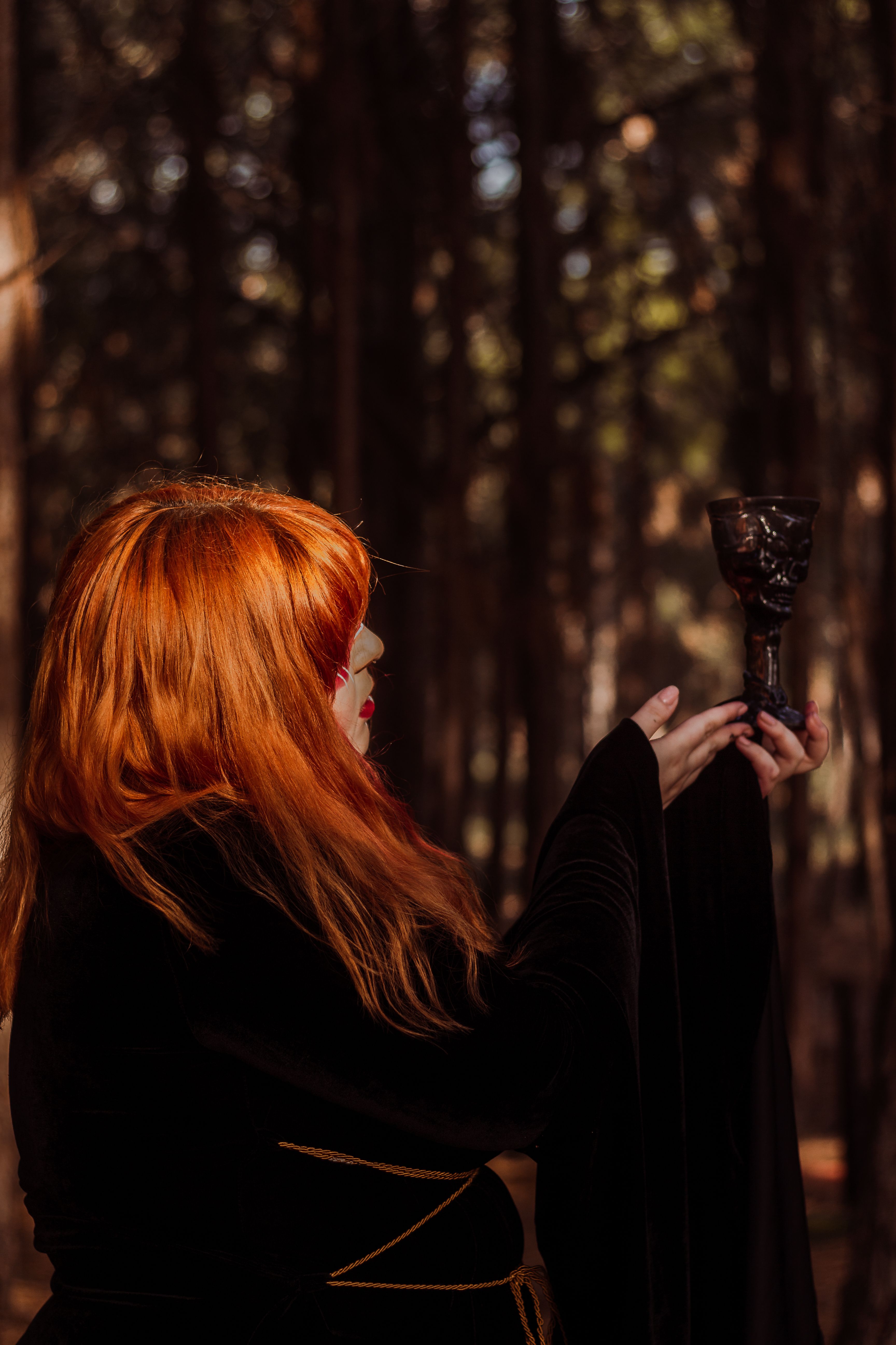 Celtic Mythology: Druids, Fairies, and the Otherworld
