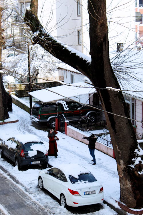 People Having Fun Outside in the Snow