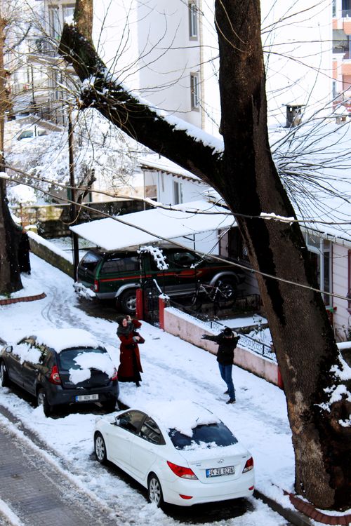 Free Snowy urban street with people and cars under bare trees, creating a winter landscape. Stock Photo