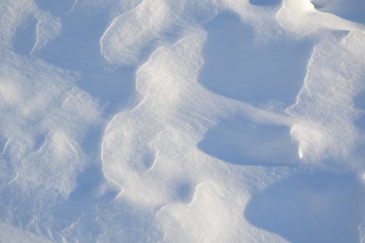 Close-up of a snow-covered surface with icy patterns, showcasing the beauty of winter.