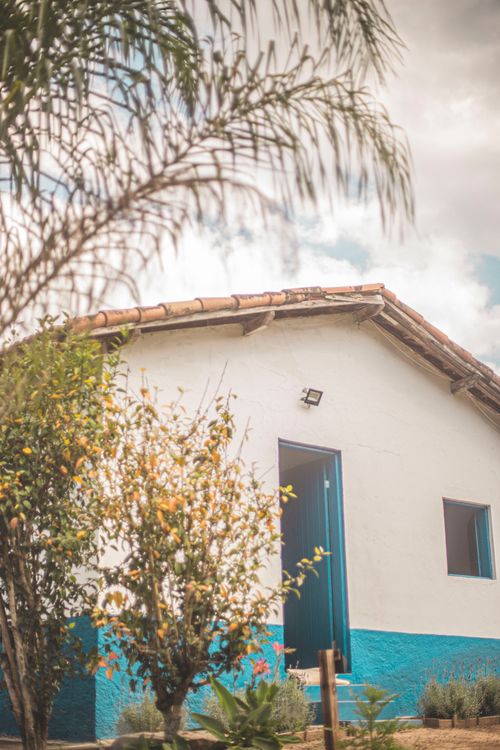 Free Beautiful rustic house exterior with vibrant plants, captured on a sunny day. Stock Photo
