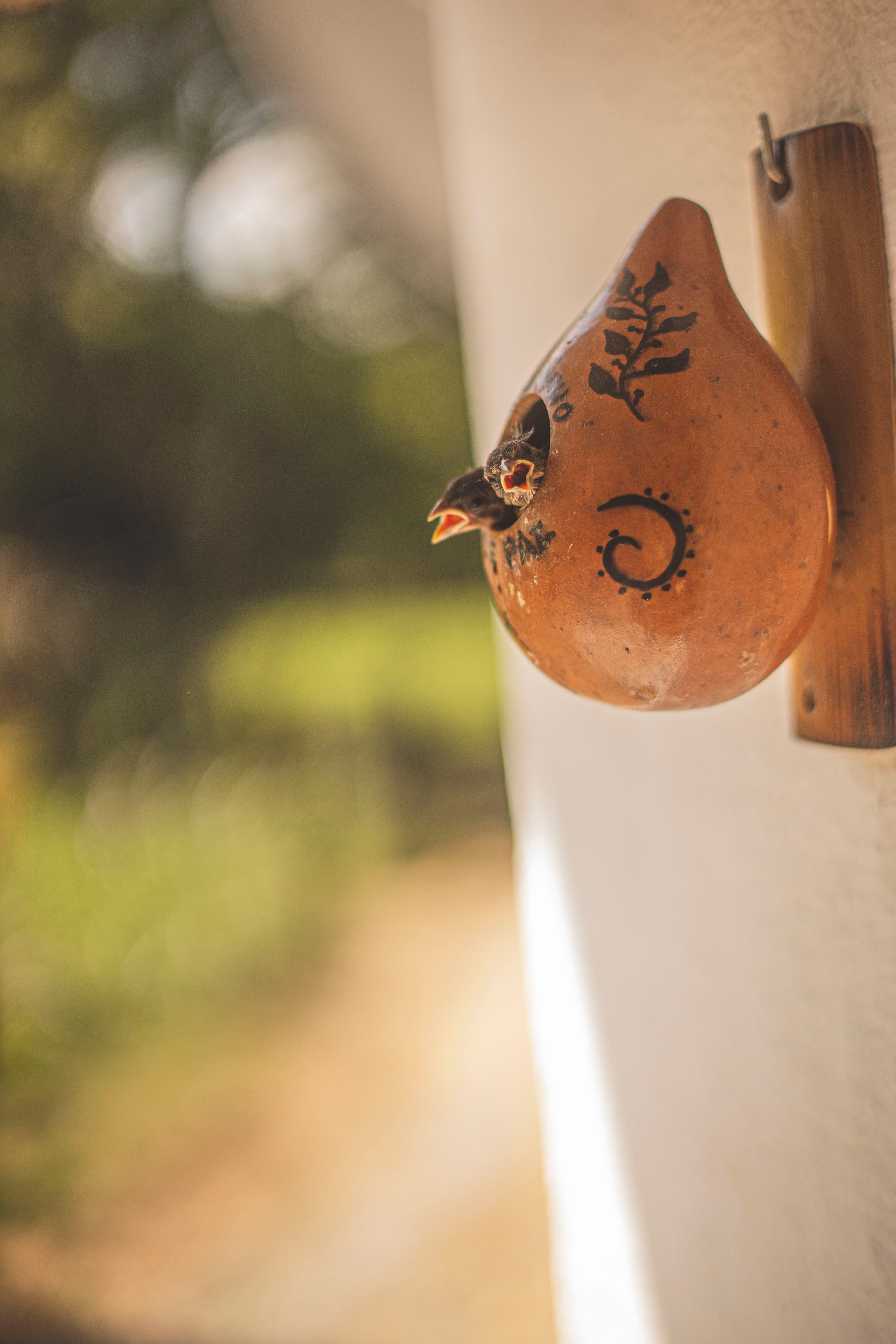 Add a Birdhouse or Bird Bath