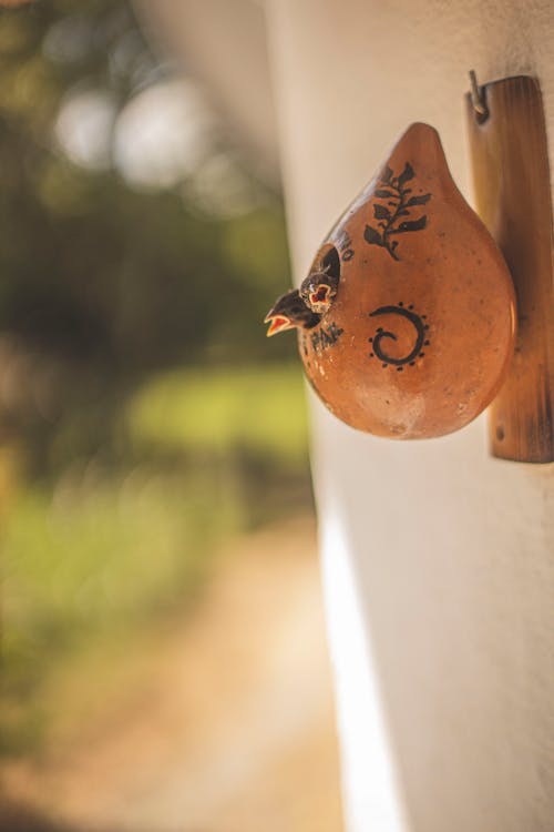 Wooden Bird House Hanging on the Wall