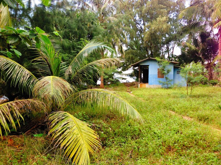 Cabin In Tropical Nature Landscape