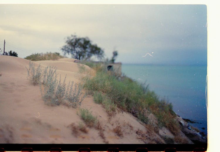 Sand Dune With Vegetation